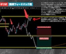 FX未経験でもOK！30日マンツーマン講座をします 完全個別型レッスン、プロトレーダーが実践形式でコーチング！ イメージ5
