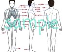 分かりやすい手書き医療系イラストを提供します 医療医学系の方向け！難しい医学をイラストで説明しませんか？ イメージ3