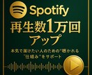 Spotifyの再生回数1万回増やします Spotify集客・リアルユーザー・宣伝・拡散手伝います！ イメージ10