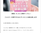 実績あり！インスタ集客・運用ノウハウ教えます 3週間でフォロワー1万人達成した私がやったこと全部公開！ イメージ2