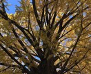 今までにない視点でお答えします 状況整理します。あなたの味方です。 イメージ1