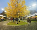 競馬好きが牧場で働けるようにアドバイスします 「チャット版」質問10個！　電話が苦手な方へ イメージ4