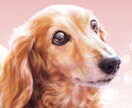 きらめく瞳のペット似顔絵｜キャンバス印刷できます 写真が暗くても丁寧に調整します／犬猫小動物OK／ギフトにも♪ イメージ1