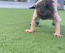 10歳までの子育て相談、学習キャリア相談受けます キャリア形成、学習への向き合い方について一緒に考えましょう！ イメージ1