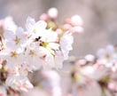 なりたい自分を見つけやりたいことに全速力になれます 30年彷徨っている人生の迷路を抜け出しましょう！ イメージ2