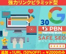 新生リンクピラミッド型強力PBNでSEO対策します 限定オファー☆追加＋１URL２０００円のみ！【５０％OFF】 イメージ6