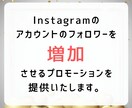 フォロワー増やします フォロワー数を増やして人気者に！ イメージ2