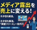 調査プレスリリースの企画配信一括代行します メディアが飛びつくプレスリリースの企画〜作成まで丸投げOK イメージ1
