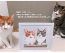 原画郵送！かわいい猫さんやペットの似顔絵描きます ハガキサイズ送料無料／イラスト／肖像画／額縁／うちの子／絵画 イメージ9