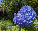 お喋りしませんか♪皆様の寛ぎタイムを目指します ほわっ♪と心が安らぐ時間。よっしゃ！って元気の湧く時間。 イメージ2
