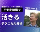 不安定相場で活きる【テクニカル分析】伝授します 【PDF10ページ以上、即日納品いたします！】 イメージ1