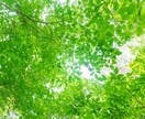 40～60代の女性の悩み・不安・愚痴何でも聞きます 子供の不登校★嫁姑関係★人間関係★更年期の不調 イメージ9