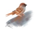 愛するペットや動物の本格イラスト描きます 愛するペットや動物の本格イラストを描きます◆ポーズ指定OK！ イメージ1