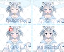 表情差分20種付き！水色猫女の子販売いたします 最短即日納品！すぐにIRIAM等でご使用いただけます イメージ3