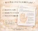 モニター募集! 資格保有者が手相を丁寧に鑑定します 有資格者の診断データを作成、あなただけのお守り鑑定書です イメージ3