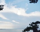ペット様専用☆直傳靈氣（ジキデンレイキ）を行います 遠隔にてペット様にエネルギーケアを行い、ヒーリングいたします イメージ3