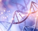 銀河人類コードを活性化する誘導瞑想をお届けします 7人の高次存在とつながる 二極性統合＆銀河人類コード活性化 イメージ10