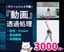 動画の背景を透過します あなたの動画素材を手軽に透過処理します イメージ2