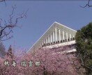 一問一答・霊感透視でチャネリングより視ます 霊感透視で人間関係、恋愛、仕事の悩みに対応いたします。 イメージ4
