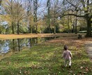 オランダ 田舎生活のあれこれ教えます 予算を抑えて移住をお考えですか？あなたの質問に答えます イメージ1
