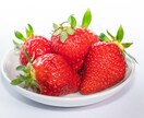 必要な写真素材を撮影します ホームページや資料用の素材を、代わりに撮影し納品します。 イメージ9
