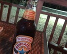 お家で一人呑みしている方！晩酌のお相手いたします 飲みながら会話して溜まったストレスを発散してください♪ イメージ3