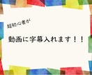超初心者が動画に字幕入れます めんどくさい字幕作業はわたくしに！ イメージ1