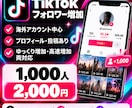 TikTokフォロワーを1000人増加します 1,000人/2,000円｜低価格で高品質なスピード対応 イメージ1