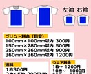 オリジナルTシャツ作成します glimmer4.4オンスドライTシャツ使用 イメージ2