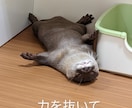 チャット相談！経験者がうつ病など相談に乗ります いじめ、うつ病などの経験者が相談に乗ります イメージ1