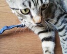 asukaさん専門施術します それではよろしくお願いします！！ イメージ1