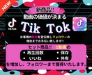 TikTok5点セット　フォロワーまで獲得致します お客様の動画を誰が見ても価値ある動画にしてみせます。 イメージ1