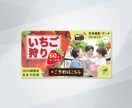 １秒で心をつかむ！訴求力のあるWeb画像作成します バナー/ヘッダ/アイキャッチ/インスタ広告/クーポン画像 イメージ10