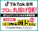 プロに丸投げ！TikTokアカウントを運用します TikTokで収益に繋げるためのサポートを行います イメージ1
