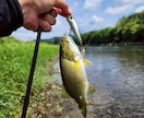 あなたのフィールドに合わせたルアー3選を選びます 初心者さん歓迎！ルアーに限らずバス釣りに関して相談聞きます イメージ2