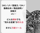 セールスに特化したAIで売れるコピーになります 16技法から選び売れる文章に。プロ仕様の刺さる言葉にリライト イメージ8
