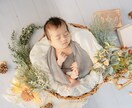 ニューボーンフォトを撮影させていただきます 暖かい雰囲気のはじめての家族写真撮影 イメージ1