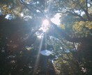 聞きたいことをお答えします お試しで鑑定したい方、リピーター様もお待ちしております。 イメージ1