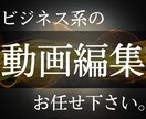 ビジネス系の動画編集を承ります 依頼者様の利益につながる動画編集を提供します◎ イメージ1