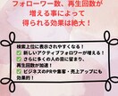 Instagramフォロワー+1000人増やします Instagram全世界に拡散！1000人迄増える迄サポート イメージ3
