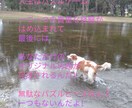 心の曇り空、意識改善、人生迷子等のお手伝いします 思考方を少し変えるだけで、今までとは違う景色が見え始めます！ イメージ4