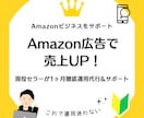 Amazon広告で売上UP！広告の設定・運用します Amazonの現役セラーが1ヶ月徹底運用代行&サポートします イメージ1