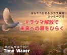 トラウマを解放して夢への前進を最適化します 解説付★タイムウェーバーで過去の傷を癒します イメージ1