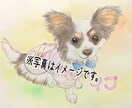 ペットの似顔絵お描きします 大切な思い出を形にしたい方へ(基本料金 一匹になります) イメージ10