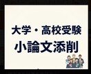高校・大学入試〈小論文〉の添削をします 個別指導塾で小論文指導経験のある私が添削でサポートします！ イメージ1