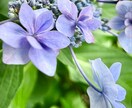 1分～OK！あなたの「ありえない！」をお聴きします そのモヤモヤ、今すぐ話してみて/愚痴/人間関係/モラハラ イメージ9