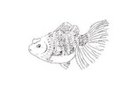 シンプルでオシャレなイラストを作成いたします ＳＮＳやグッズなど用途に合わせたオリジナルイラストの作成 イメージ8