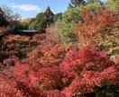 心と体を整えやさしい安らぎを届けます 誰にも言えない悩みも安心してご相談ください イメージ4