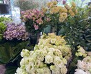 心に癒しを♪部屋に合う季節のお花をお届けいたします 1人1人のお客様と相談しながらお花を選びます♪ イメージ4