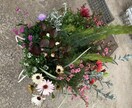 寄せ植えを作ります 四季折々の寄せ植え達をお届けします イメージ9